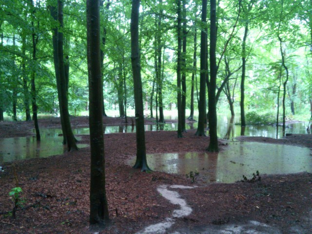 unser_wald_ueberschwemmung